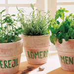 Aromaticas