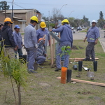 Cuadrilla_plantacion