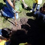 Escuela_445_(6)