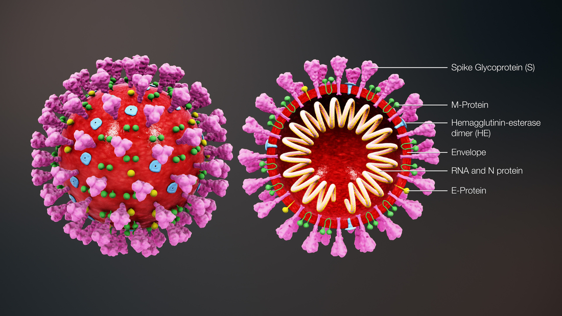 Coronavirus2