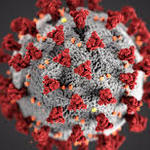 Coronavirus3