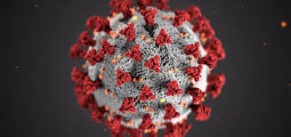 Coronavirus3