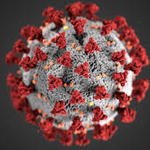 Coronavirus1