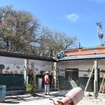 M.margarita085