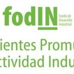 Presentacion_fodin_2012