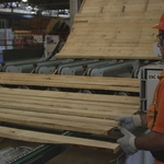 Industria_madera_(3)