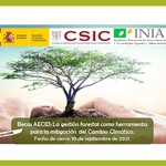 Becas_aecid_gesti%c3%b2n_forestal