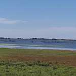 16-11-21_comision_arroceras_(6)