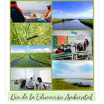 26_de_enero_d%c3%ada_de_la_ed._amb