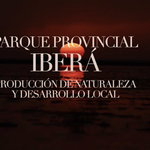 Foto_video