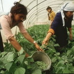 2013-10-15-mujeres_rurales_01