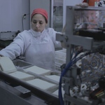 Alimentos_2