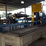 Aserradero_en_parque_forestoindustrial_s.rosa